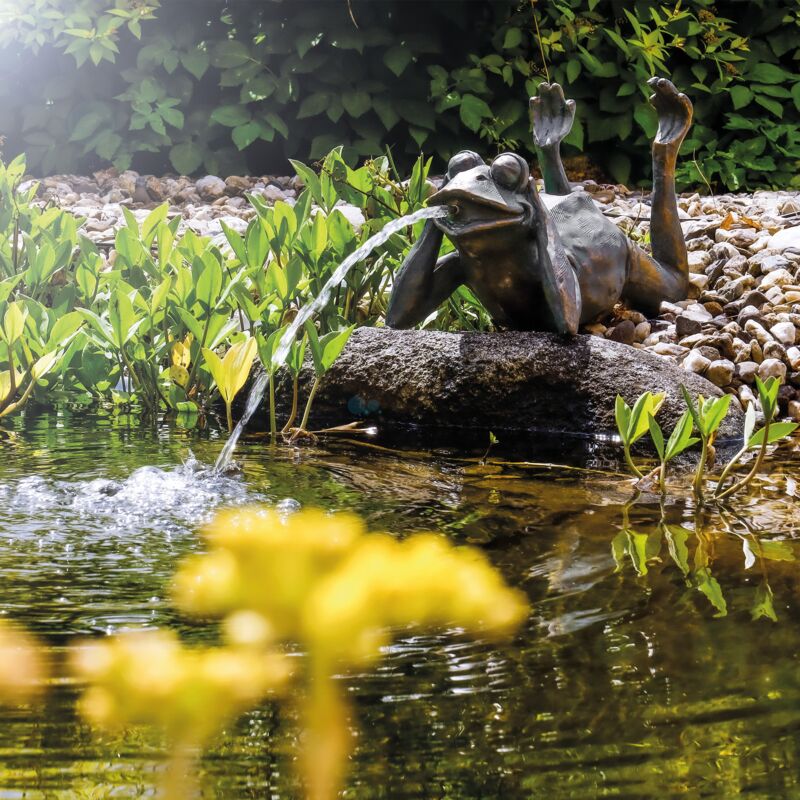 Esotec - Wasserspeier frosch + Solar-Teichpumpe Wasserspiel Gartenfigur 101650