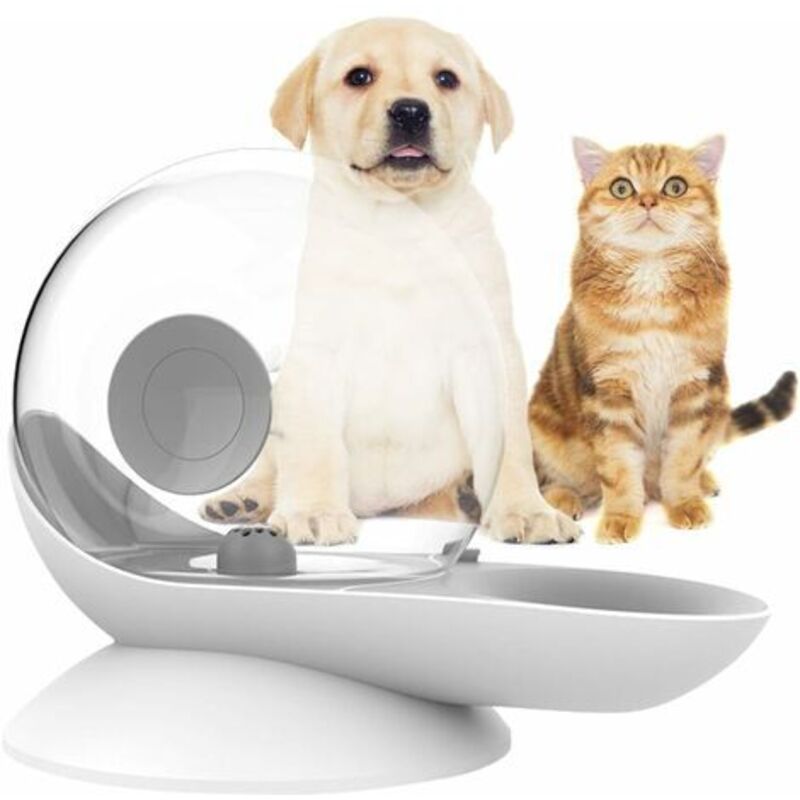 Wasserspender für Katzen und Hunde, Schwerkraft-Wasserspender für Katzen, Schneckenform, automatischer Trinkbrunnen für Katzen, Wassernapf-Spender