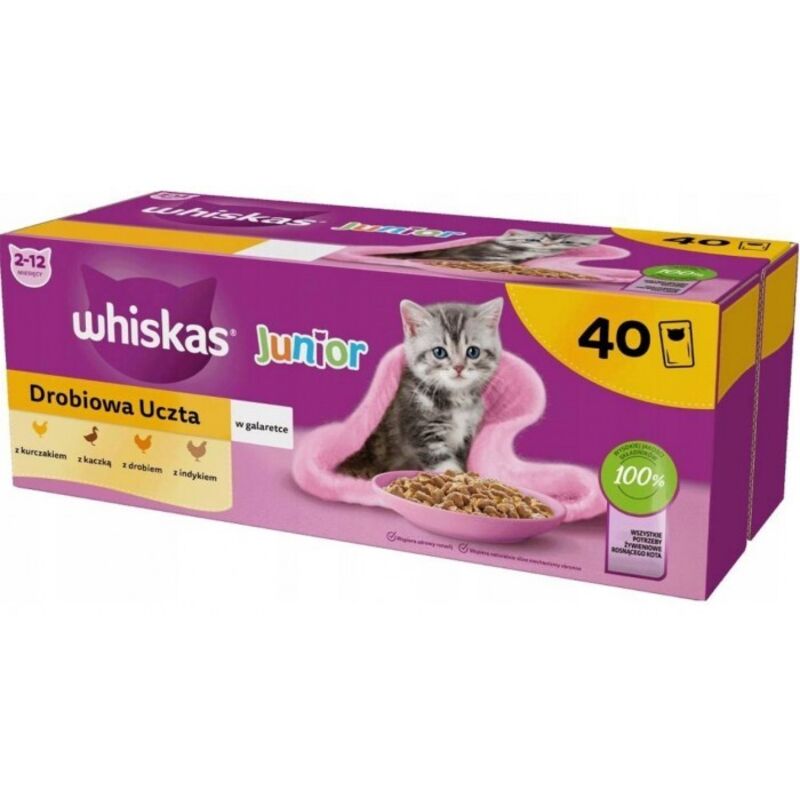 Whiskas Nassfutter für Kätzchen Junior Geflügel 40x85g - Leckere Mahlzeit für kleine Katzen