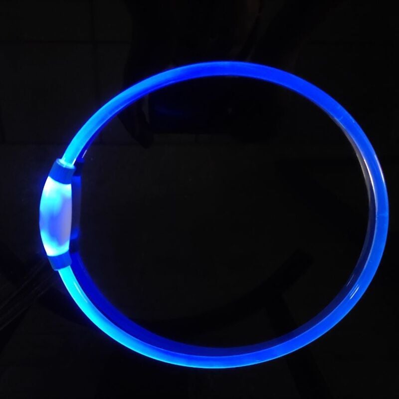 Wiederaufladbares Hundehalsband mit Licht (blau), leuchtendes LED-Hundehalsband, blinkendes Sicherheitshalsband für alle Hunde, für kleine,