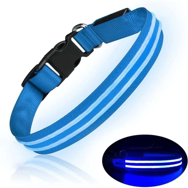 Wiederaufladbares LED-Hundehalsband, wasserdicht, leuchtendes Hundehalsband, blinkend, verstellbar, für kleine, mittelgroße und große Hunde – Blau – L