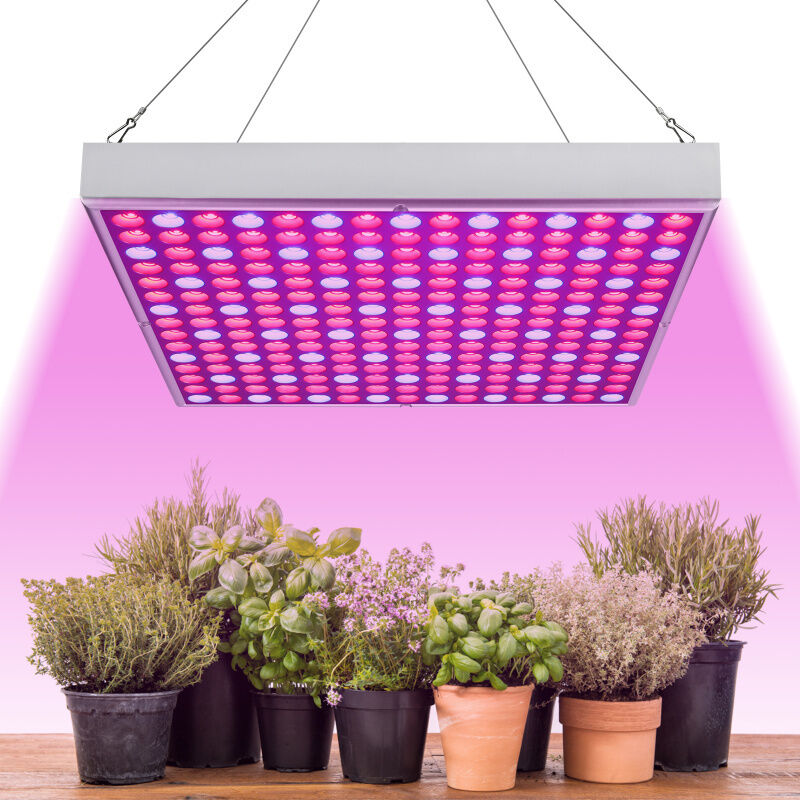 Wolketon LED Pflanzenlampe 45W Pflanzenleuchte 225 LEDs für Gewächshaus. Red Blue Voll Spektrum Pflanzenlicht für Sämling. Garten. Blumen.