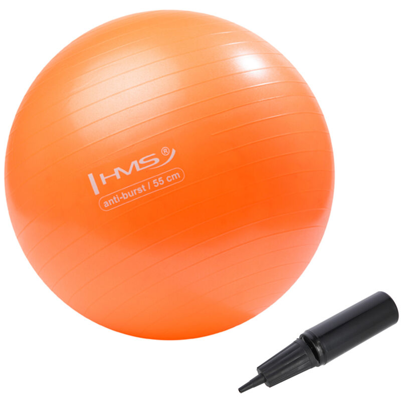 Yb02 Neu 55cm Orange Gymnastikball Hms