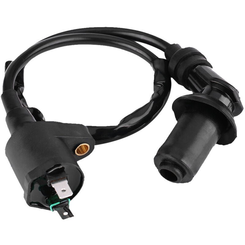 Scooter-Zündspule, Zündspule für GY6 50CC 125CC 150CC Motor Motorrad Dirt Bike Scooter Moped (Schwarz) - Ymyny