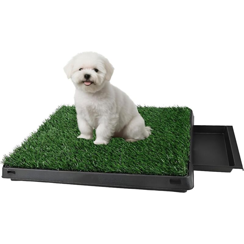 Youyijia Hundetoilette Hundeklo Toilette Trainingsunterlage 63 x 50cm für Kleine Hunde Grosse Hunde ältere Hunde Tier WC Indoor Welpentoilette