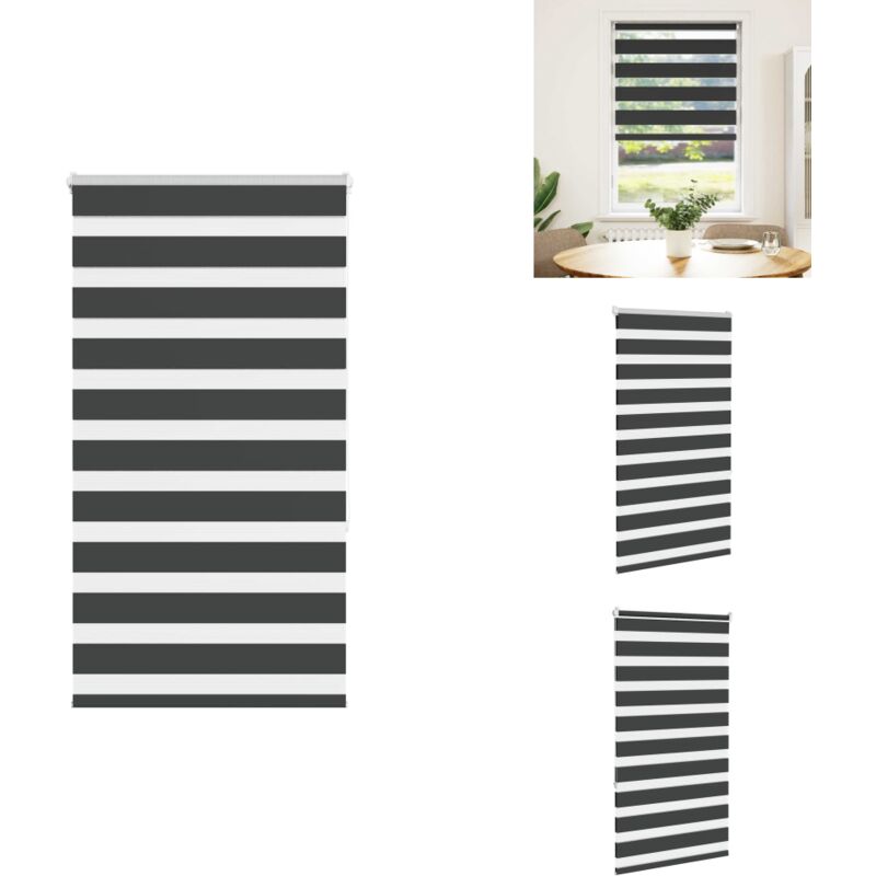 Vidaxl - Zebrarollo Schwarz 80x150 cm Stoffbreite 75,9 cm Polyester - Zebra-Jalousie - Zebra-Jalousien - Zebra-Rollo - Doppelrollo
