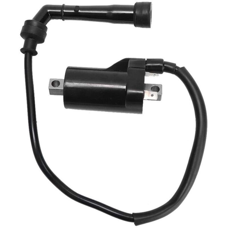 Zündspule sv650 + Ersatz Zündspule passend für SV650 1999-2002 Praktisches Zubehör - Zoternen