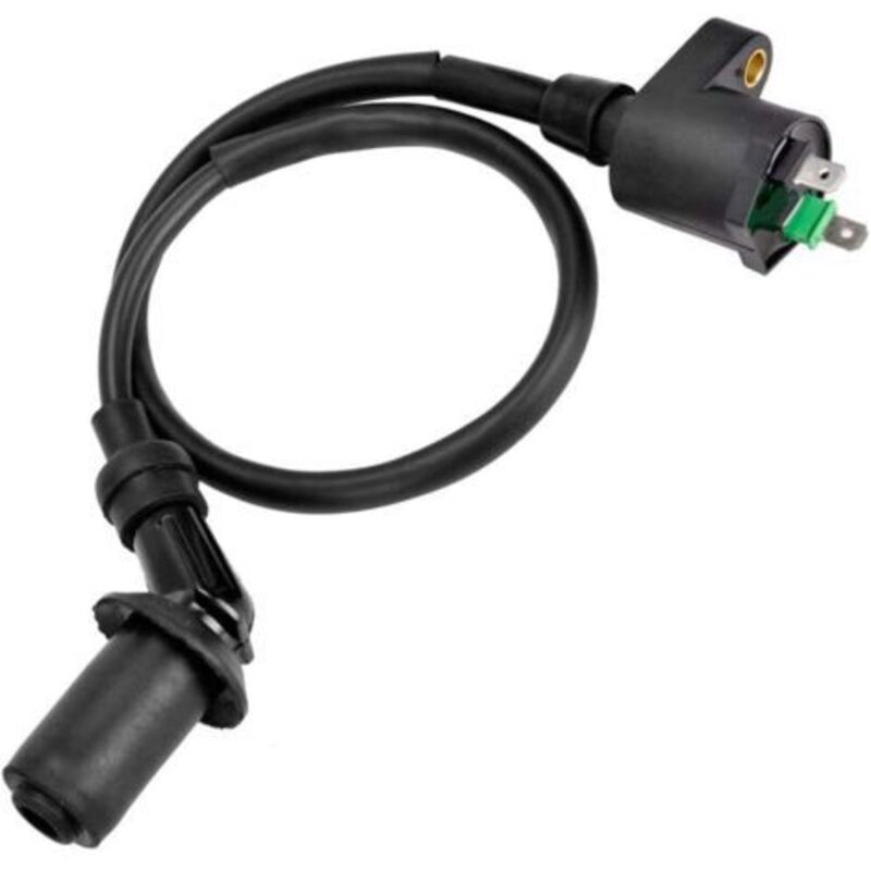 Zündspule für Motorräder, Zündspule für GY6 50cc 125cc 150cc Motor