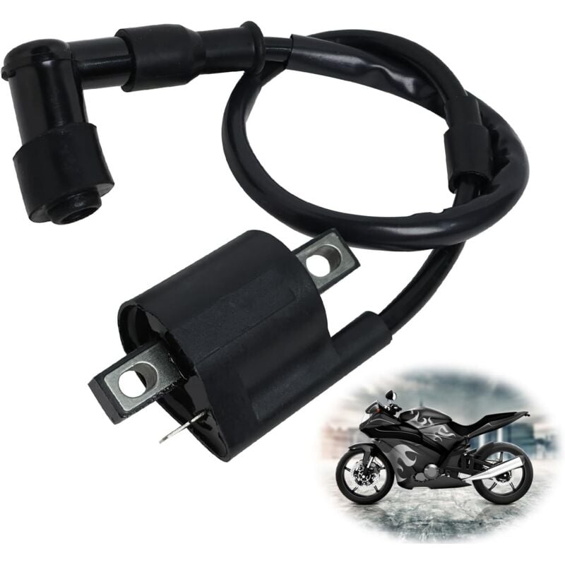 Gabrielle - Zündspule für Roller, Zündspule, Zündspule für Dirtbike, Booster, Motorrad, Zündspule für die meisten 125CC, 150CC, 250CC, atv, Roller,