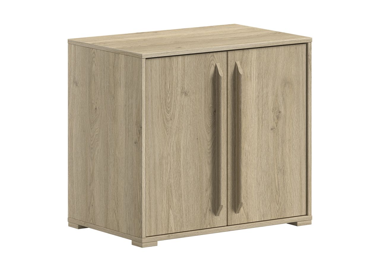 Kommode mit 2 Türen Aufbewahrungsschrank Sideboard Schrank Eichefarbig