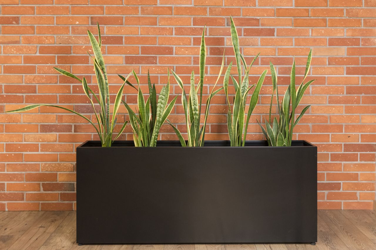 Blumenkasten Pflanzkasten Hochbeet Indoor Pflanzschale Kübel Deko Metall Schwarz