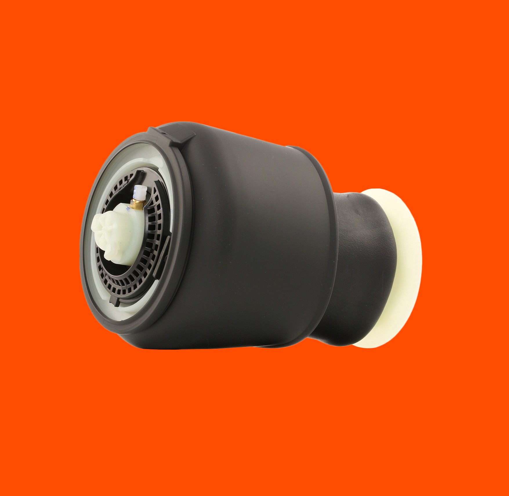 RIDEX Luftfeder, Fahrwerk Hinterachse 4119A0018  BMW,5 Touring (F11),5 GT (F07)