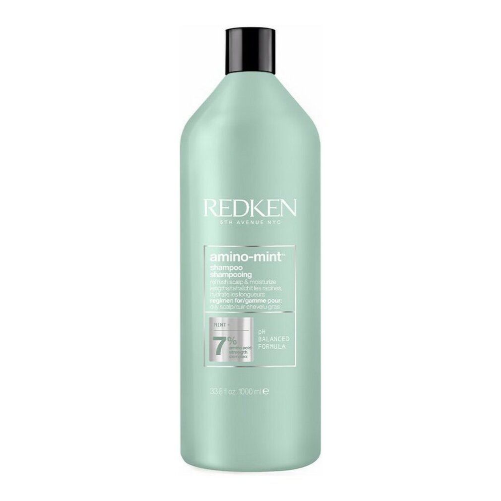 Shampoo Redken Amino Mint