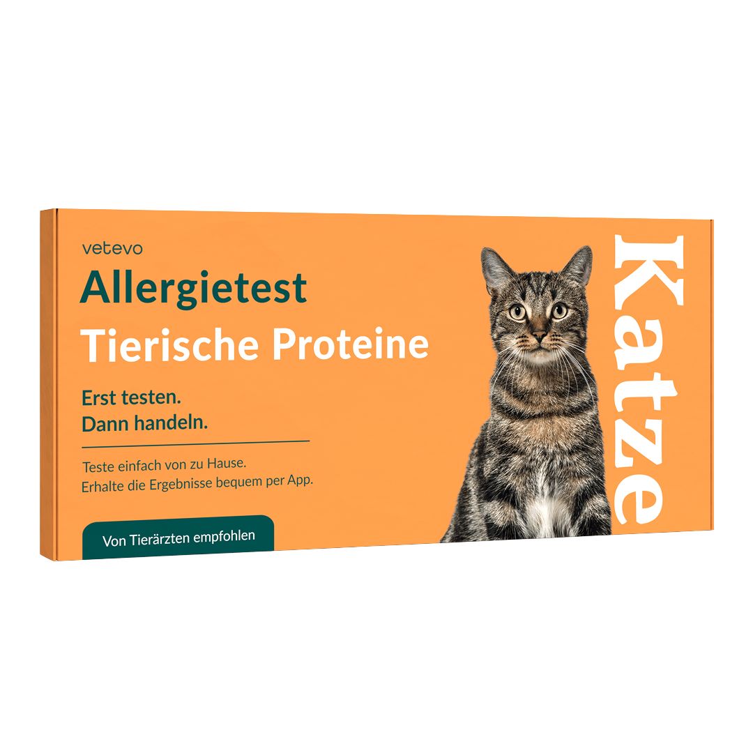 Allergietest - Tierische Proteine Katze