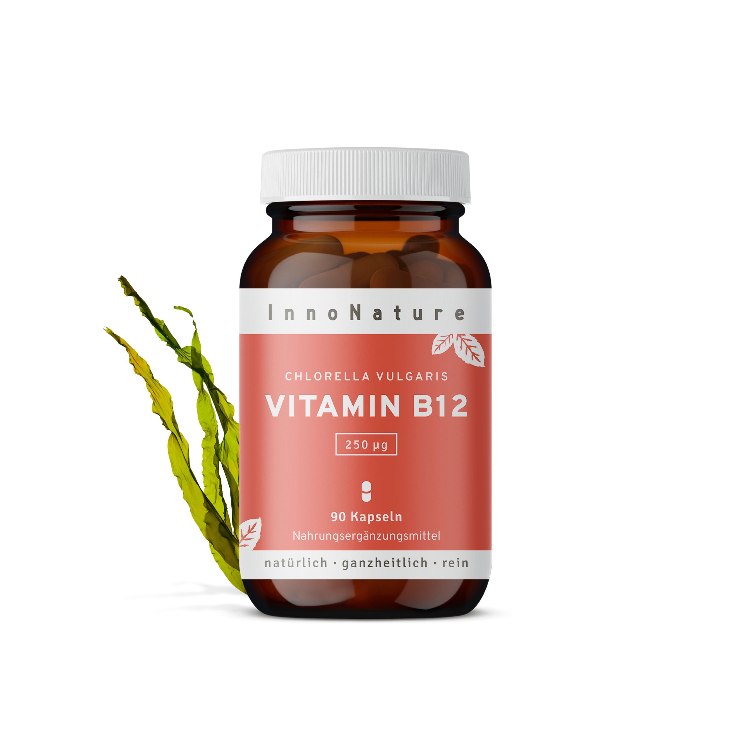 InnoNature Vitamin B12 Kapseln | natürlich aus der Chlorella Vulgaris Alge | vegan
