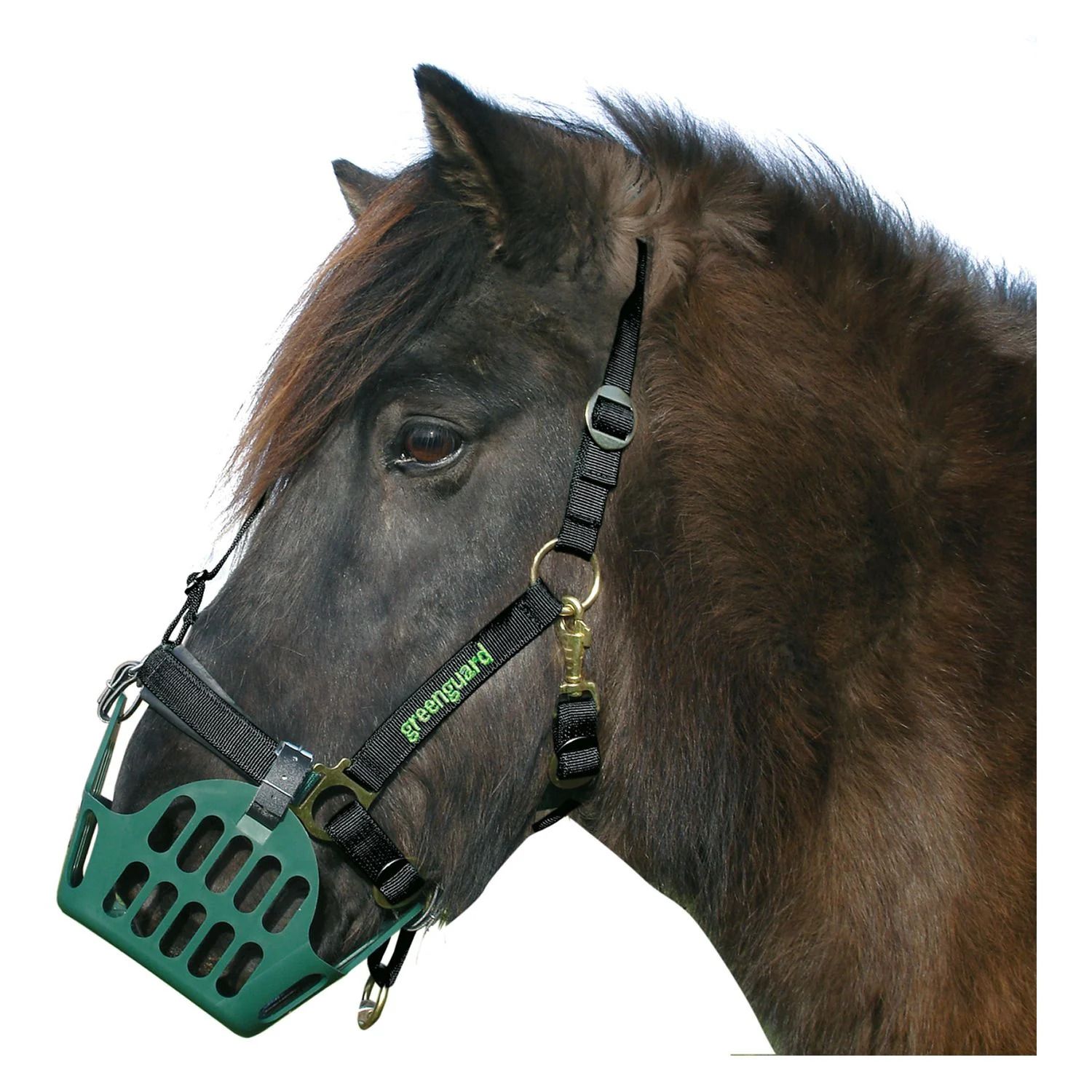 Greenguard Halfter 48 Standard Shetty