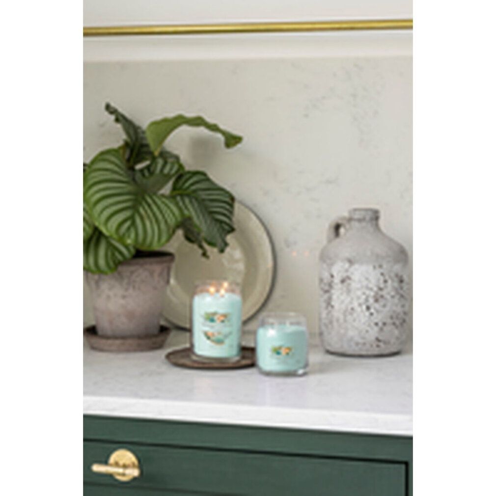 Duftkerze Signature Glas mittel Aloe & Agave