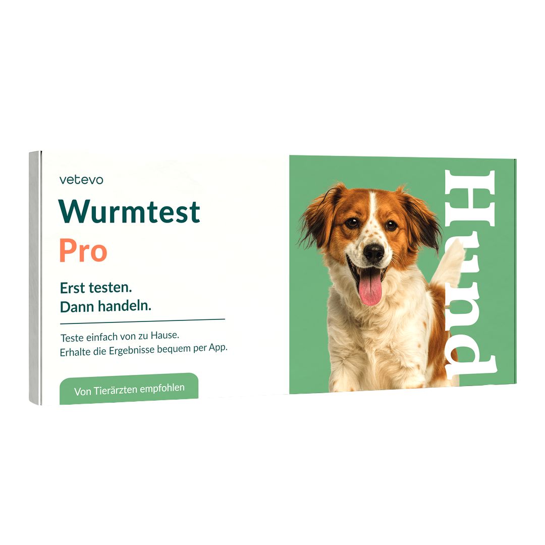 Wurmtest Pro Hund – inkl. Giardien