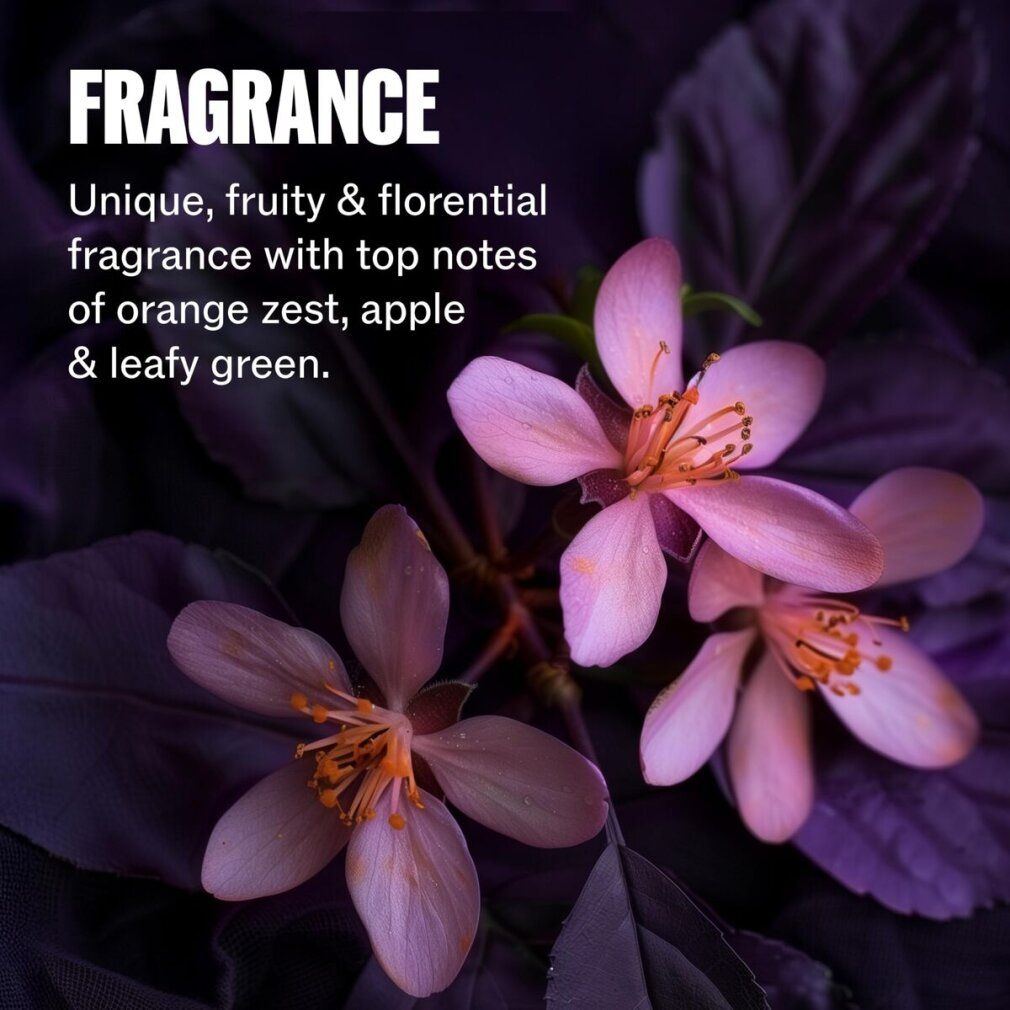 ultimate color Shampoo - lebendige Farbe für gefärbtes Haar