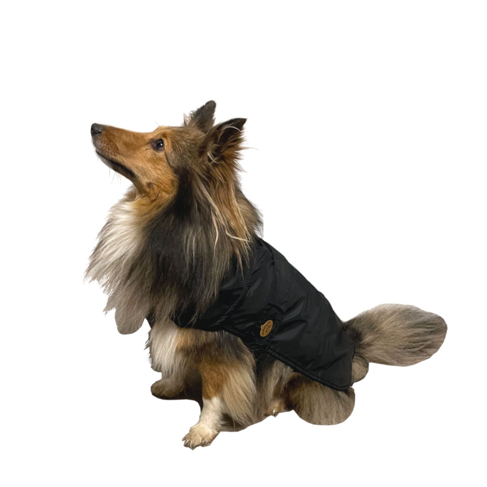 Fashion Dog Hunde-Regenmantel mit Fleecefutter - Schwarz - 27 cm