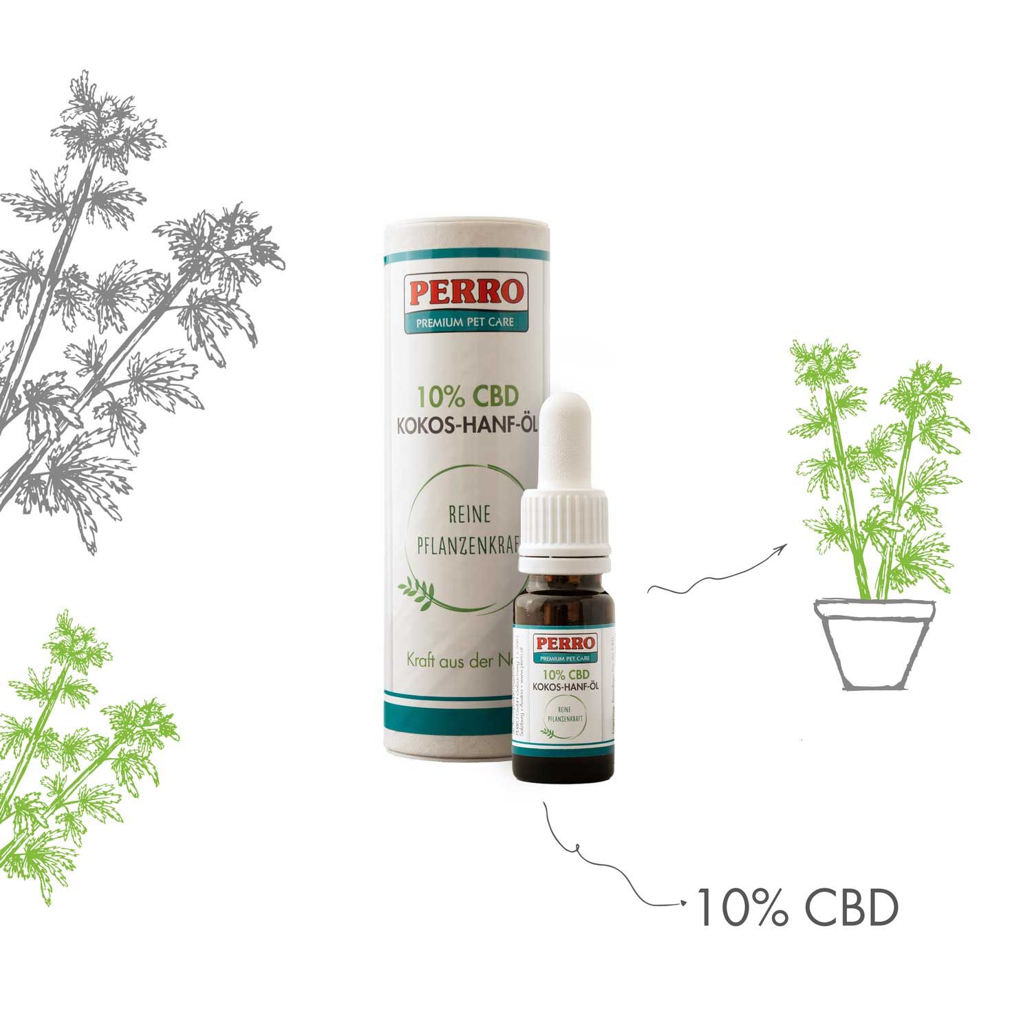 PERRO CBD Hanf Kokos Öl