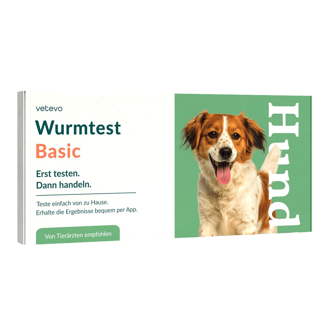 Wurmtest Basic Hund inkl. Spulwürmer, Hakenwürmer & Co.