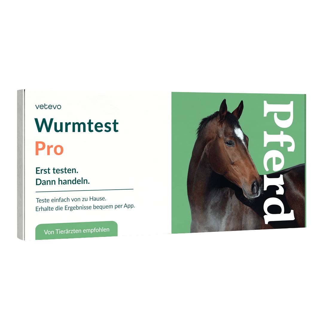 Wurmtest Pro Pferd – mit Wurmeizählung