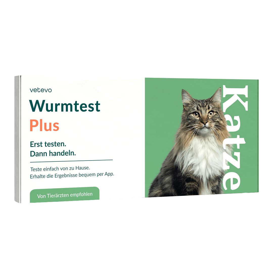 Wurmtest Plus Katze – inkl. Lungenwürmer