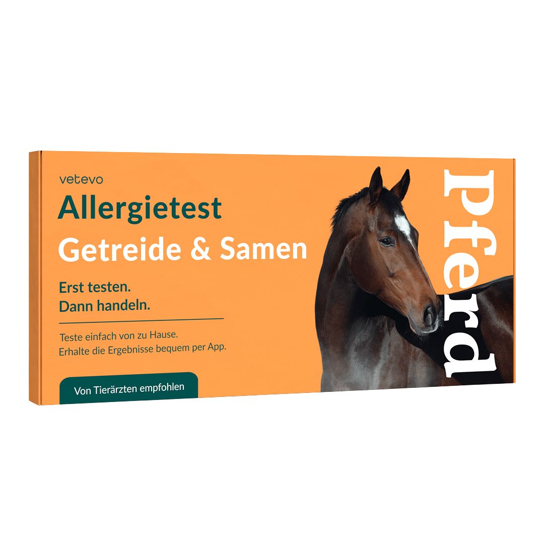 Allergietest - Getreide, Samen & Nüsse Pferd