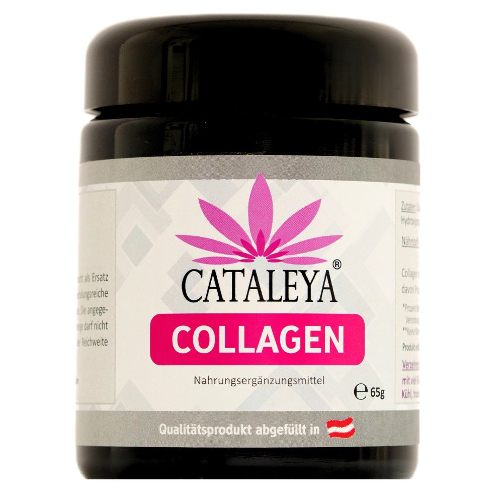 Collagen Kapseln – Hydrolysiertes Fischkollagen Typ I | Nahrungsergänzung