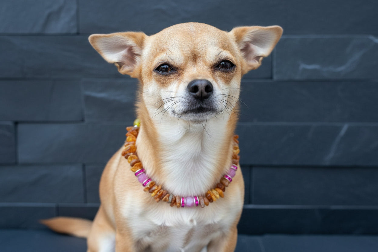 Bernsteinkette Hund mit Achat Länge 24cm