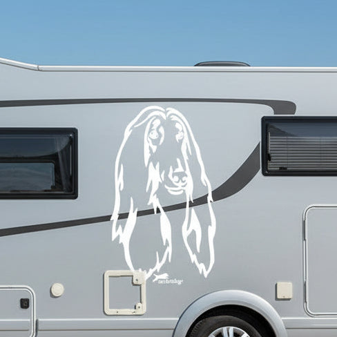 Afghane Kopf Wohnmobil Aufkleber I Wandtattoo - 50cm / Schwarz