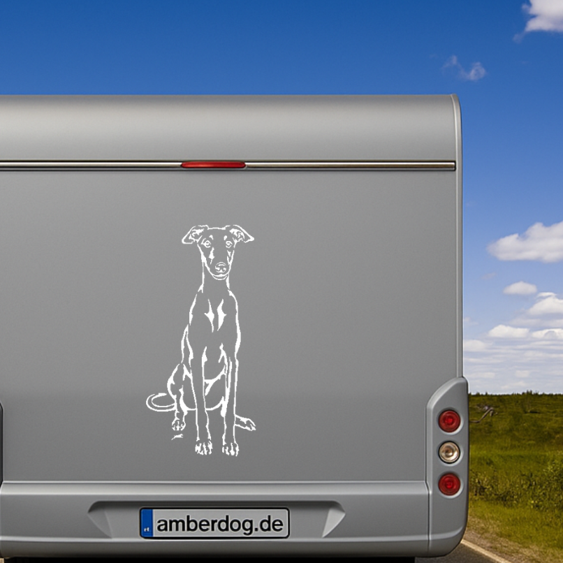 Galgo Aufkleber & Wandtattoo | Auto, Wohnmobil, Fenster - H20cm / Weiß