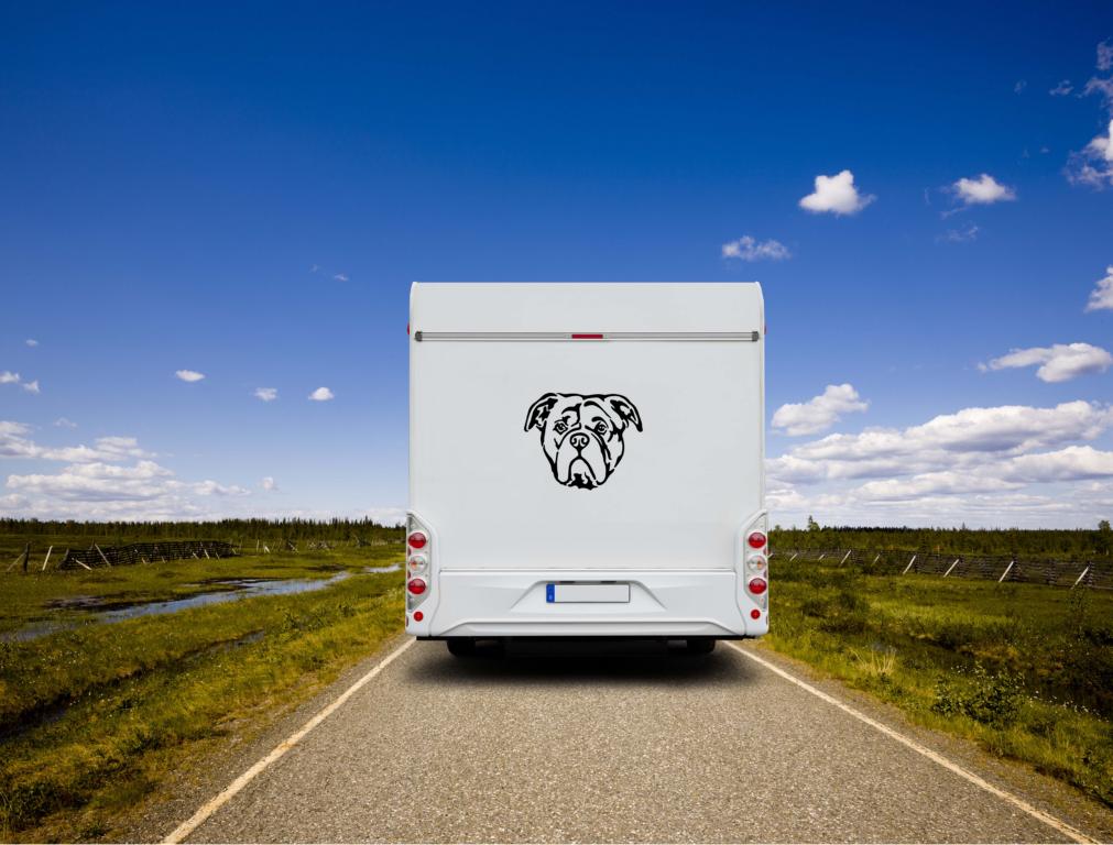 Continental Bulldogge Kopf Auto Wohnmobil Aufkleber l Wandtattoo - H20cm / Schwarz