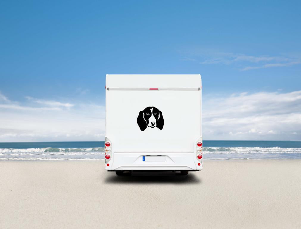 Deutsche Bracke Kopf Auto Wohnmobil Aufkleber I Wandtattoo - H50cm / Weiß