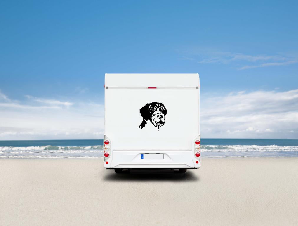 Deutsch Drahthaar Kopf Wohnmobil Aufkleber I Wandtattoo - H30cm / Schwarz