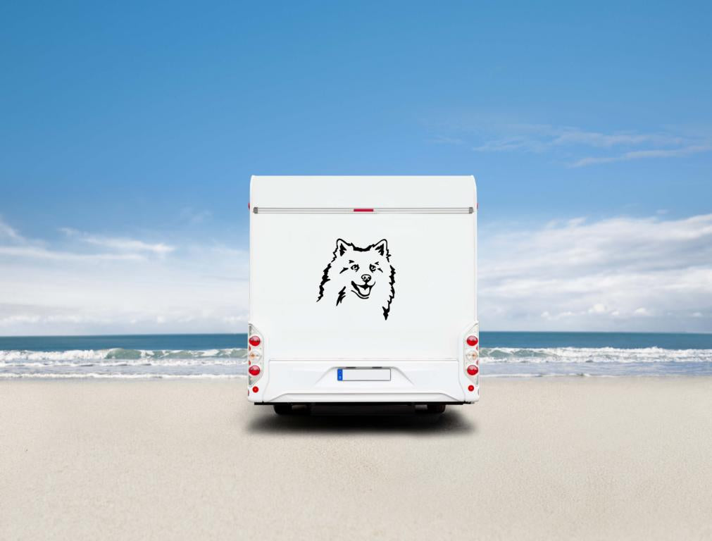 Deutscher Spitz Kopf Wohnmobil Aufkleber I Wandtattoo - H30cm / Weiß