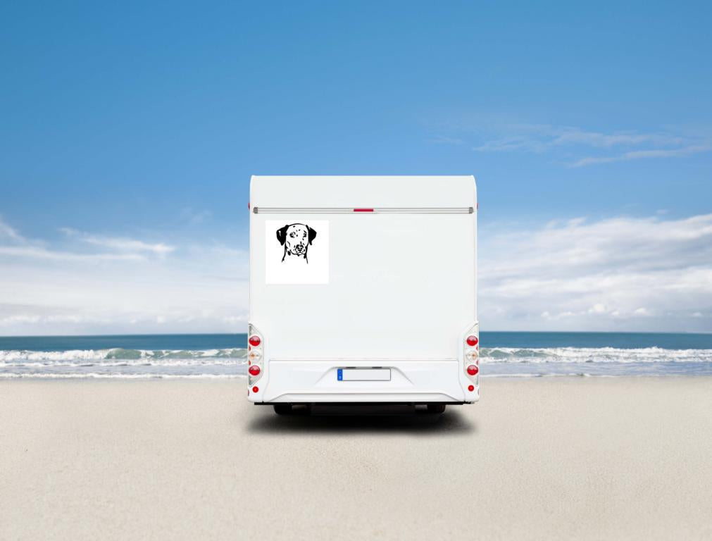 Dalmatiner Kopf Auto Wohnmobil Aufkleber I Wandtattoo - H50cm / Weiß