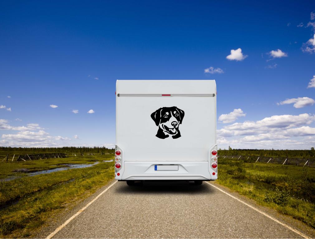 Entlebucher Sennenhund Kopf Wohnmobil Aufkleber  I Wandtattoo - H30cm / Schwarz