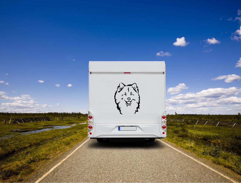 Eurasier Kopf Auto Wohnmobil Aufkleber I Wandtattoo - H50cm / Weiß