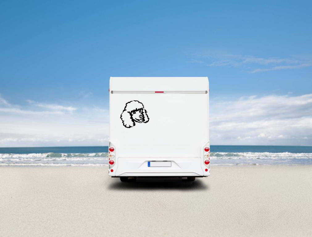 Zwergpudel /Kleinpudel Kopf Auto Wohnmobil Aufkleber I Wandtattoo - H30cm / Weiß