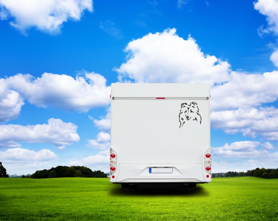 Sheltie Shetland Sheepdog Kopf Auto Wohnmobil Aufkleber  I Wandtattoo - H20cm / Weiß