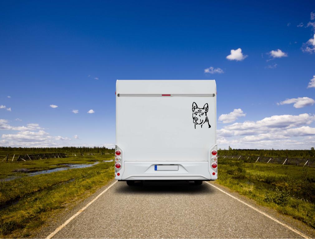 Thai Ridgeback Kopf Auto Wohnmobil Aufkleber  I Wandtattoo - H20cm / Weiß