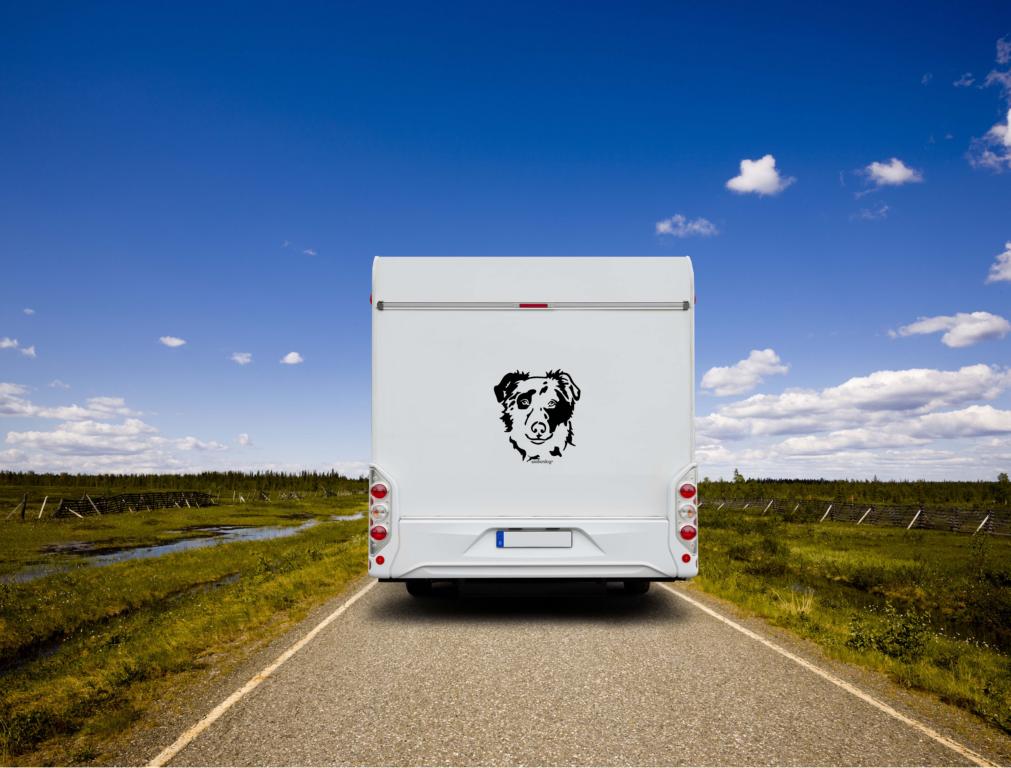 Tiger Altdeutscher Hütehund Kopf Auto Wohnmobil Aufkleber I Wandtattoo - H50cm / Schwarz