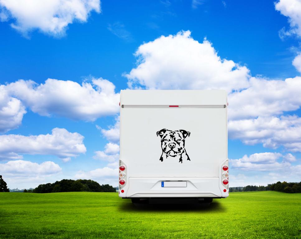 Staffordshire Bullterrier Kopf Auto Wohnmobil Aufkleber I Wandtattoo - H20cm / Weiß