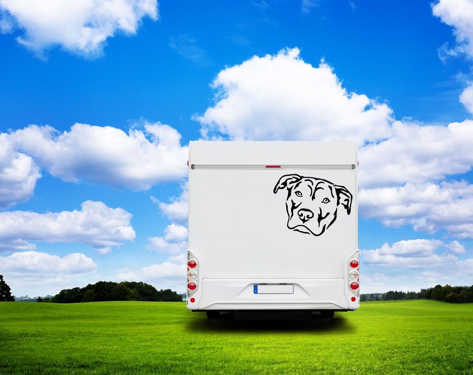 American Staffordshire Terrier Kopf Auto Wohnmobil Aufkleber l Wandtattoo - H50cm / Weiß
