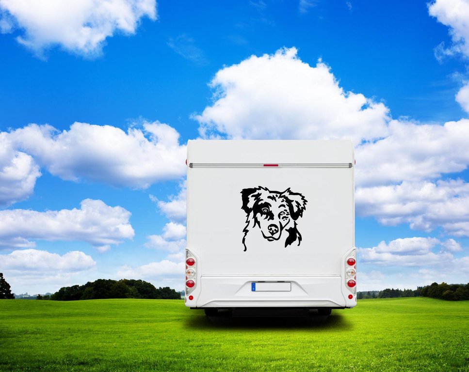 Australian Shepherd Kopf Wohnmobil Aufkleber l Wandtattoo - H30xcm / Schwarz