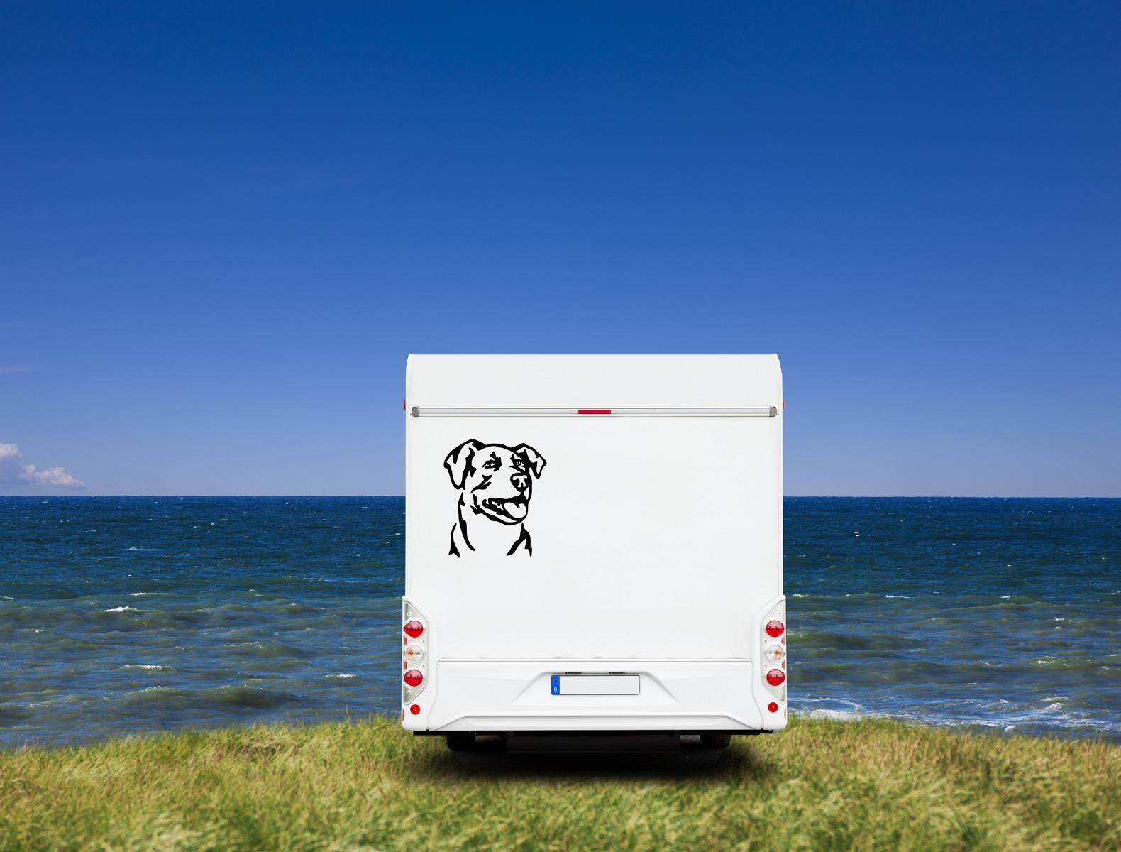 Bardino Kopf Auto Wohnmobil Aufkleber I Wandtattoo - H20cm / Schwarz