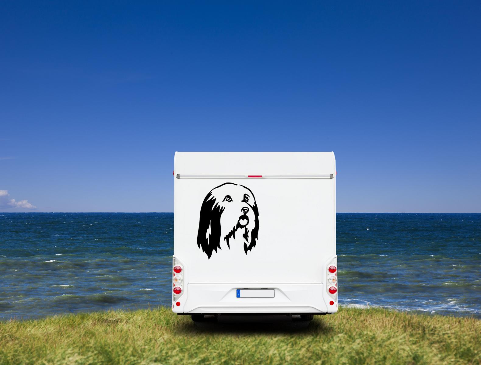 Bearded Collie Kopf Auto Wohnmobil Aufkleber I Wandtattoo - H50cm / Schwarz