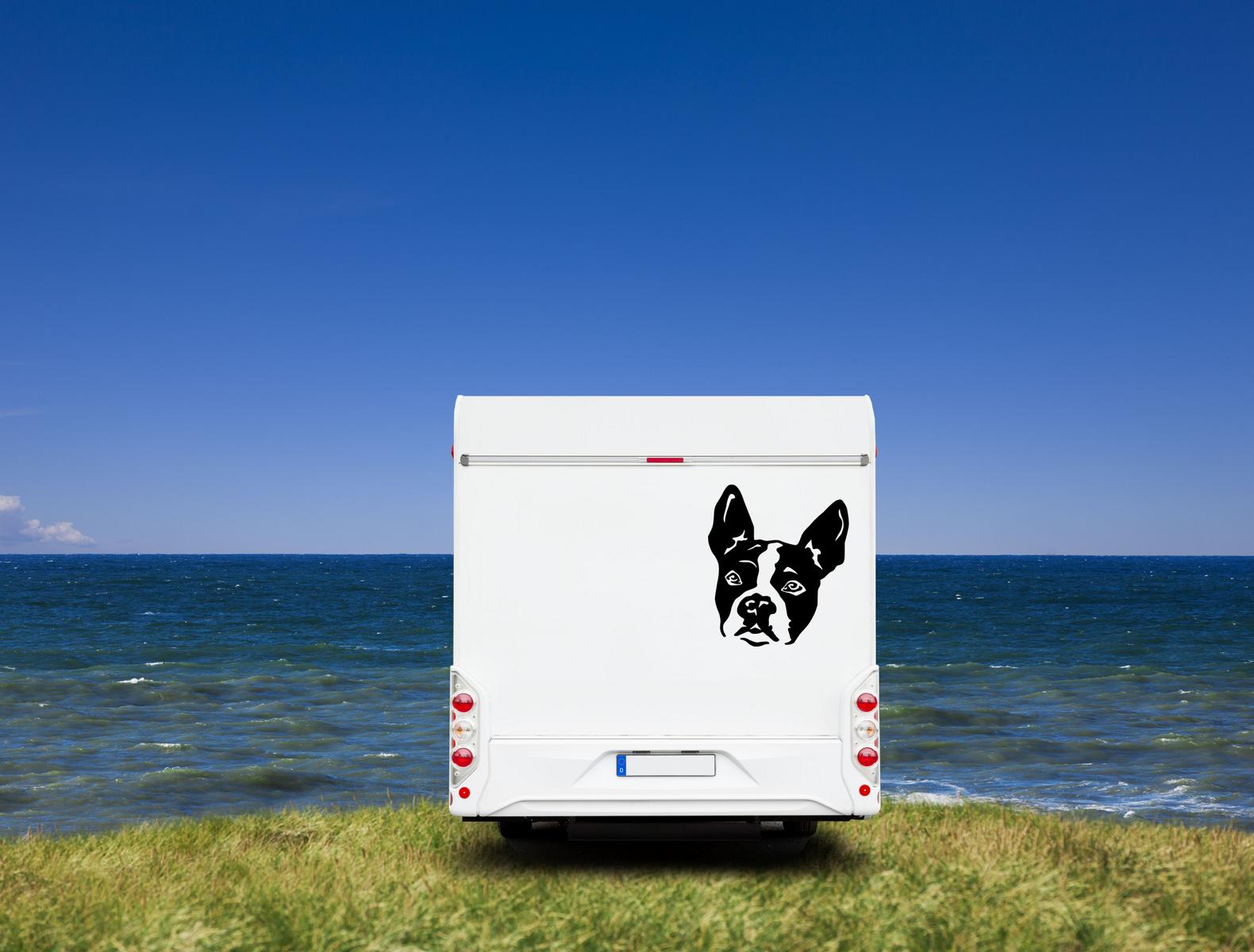 Boston Terrier Kopf Wohnmobil Aufkleber I Wandtattoo - H30cm / Weiß